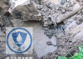 亭湖区水管漏水检测公司5